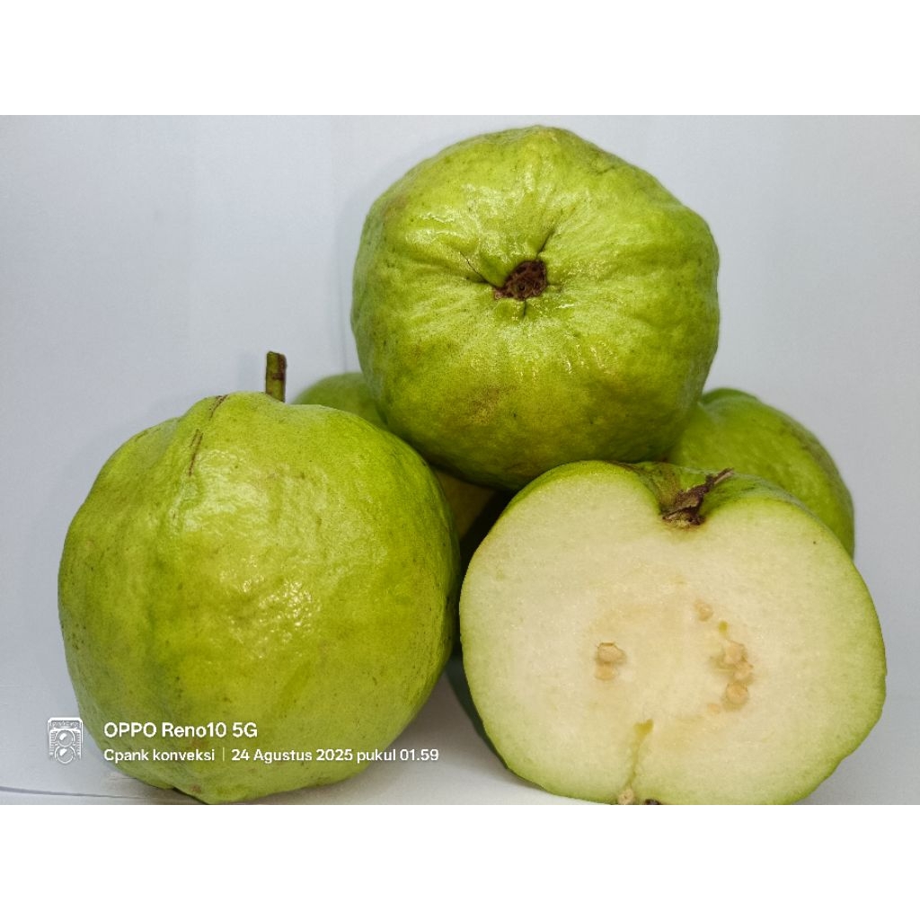 

JAMBU KRISTAL PER 2KG/ 1kg