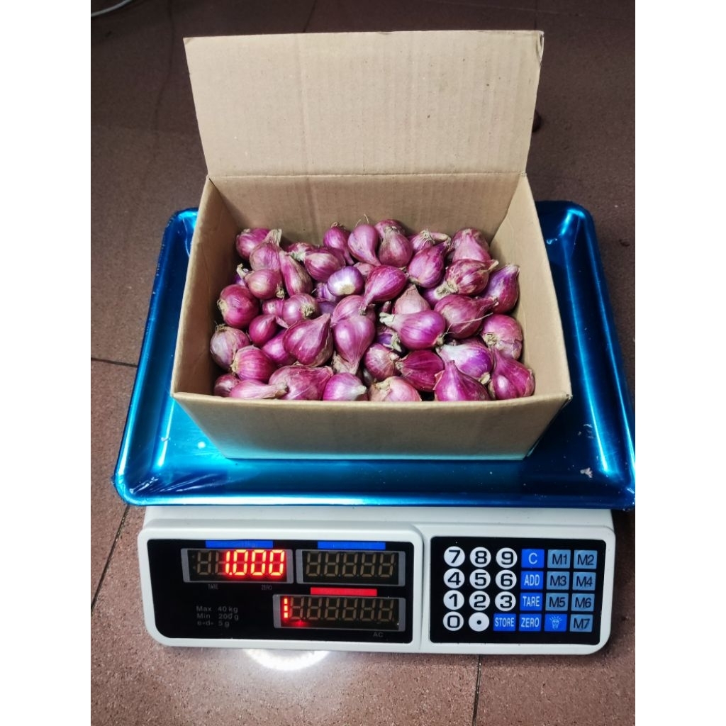 

BAWANG MERAH FRESH SUPER 1KG