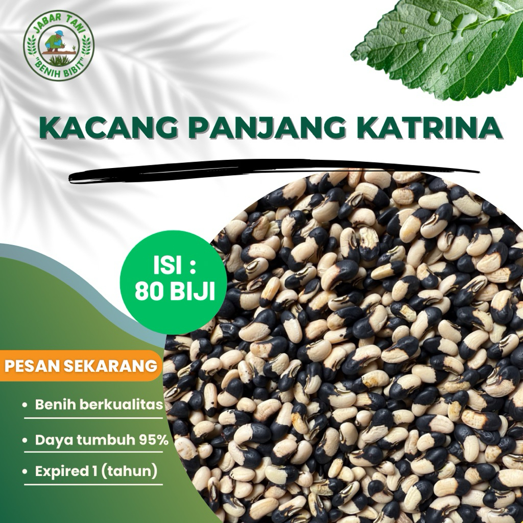 >80 biji benih biji kacang panjang hitam putih | kacang panjang Katrina unggul bonus pembelian
