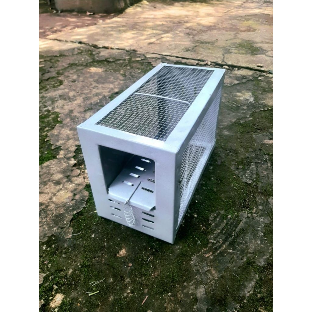 perangkap tikus jumbo/jebakan tikus massal /jebakan hama tikus pintu otomatis