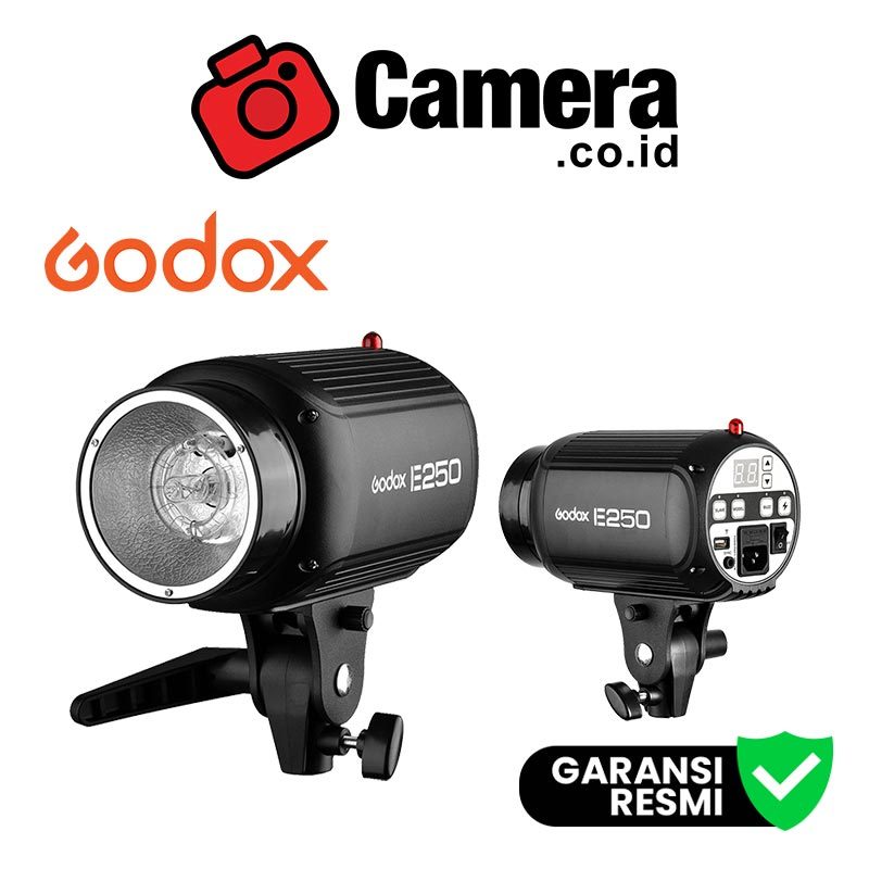 GODOX E250 Flash Head - Studio Lighting