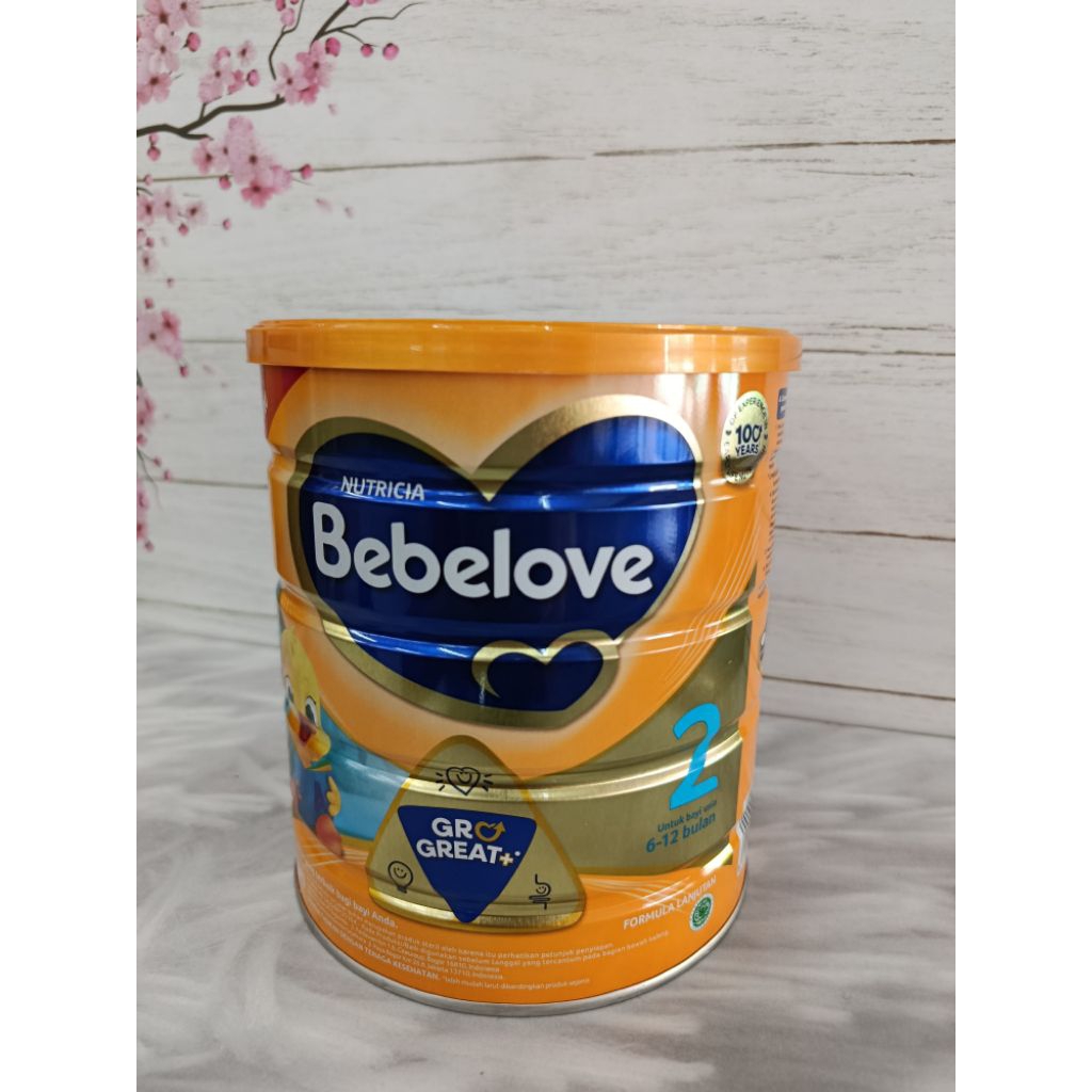

Nutricia Bebelove 2 Susu Pertumbuhan Usia 6–12 Bulan 800gr