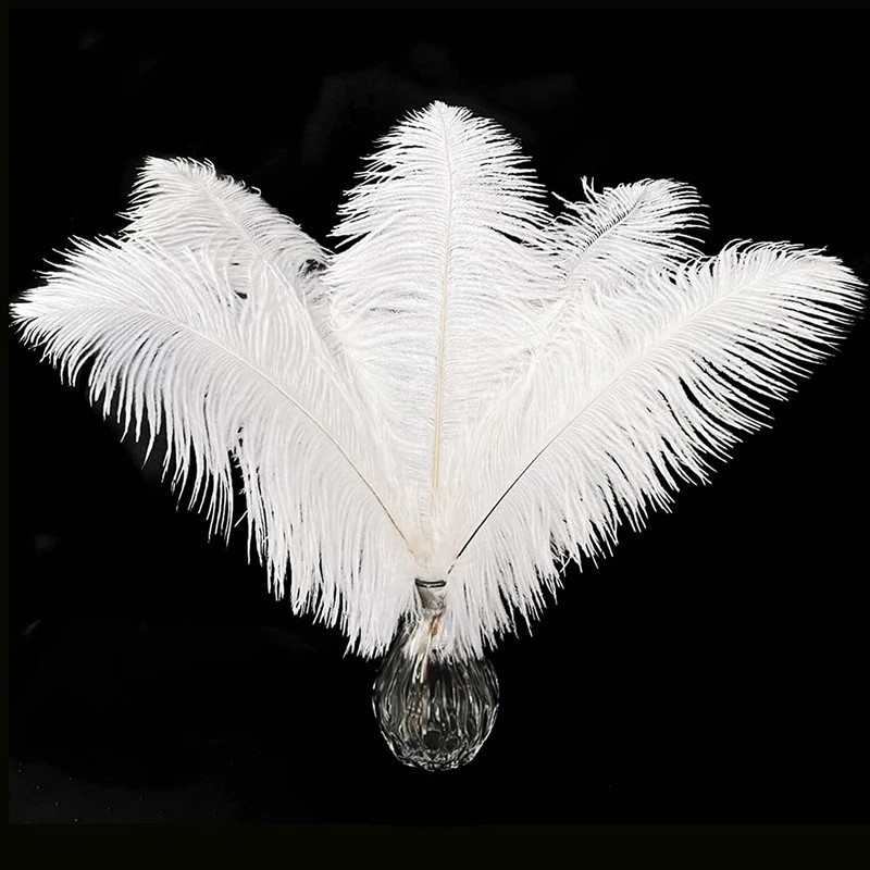 Isi2 Bulu Burung Bulu Bulu Aksesoris Bulu Bulu 38-45 Cm Bulu Ostricht