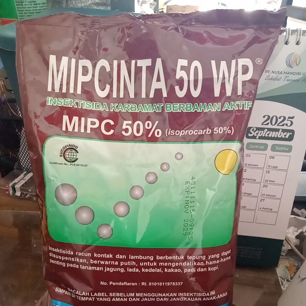 mipcinta 50wp 500gr