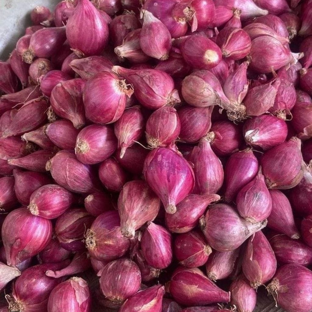 

Bawang Merah Brebes Super Besar 1Kg