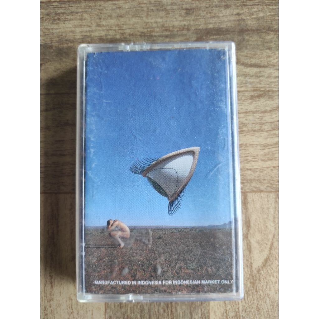 kaset pita the CRANBERRIES "bury the hatchet"