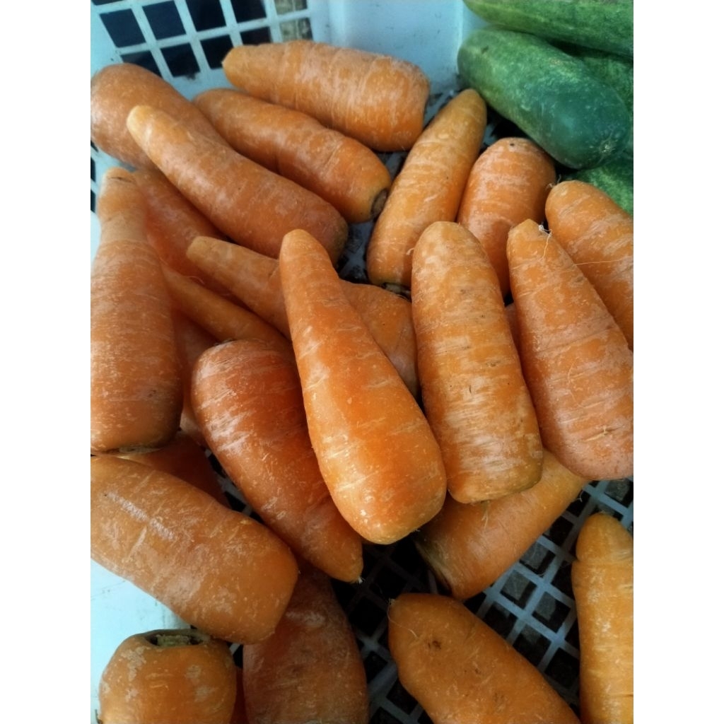 

wotel lokal dieng fres 1kg