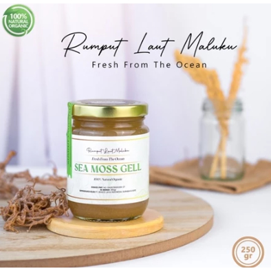 

Seamoss Gell Gold 250gr Rumput Laut (EUCHEMA COTTONII)