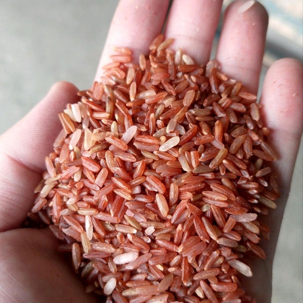 

Eceran Beras Merah Jembar Ciparay