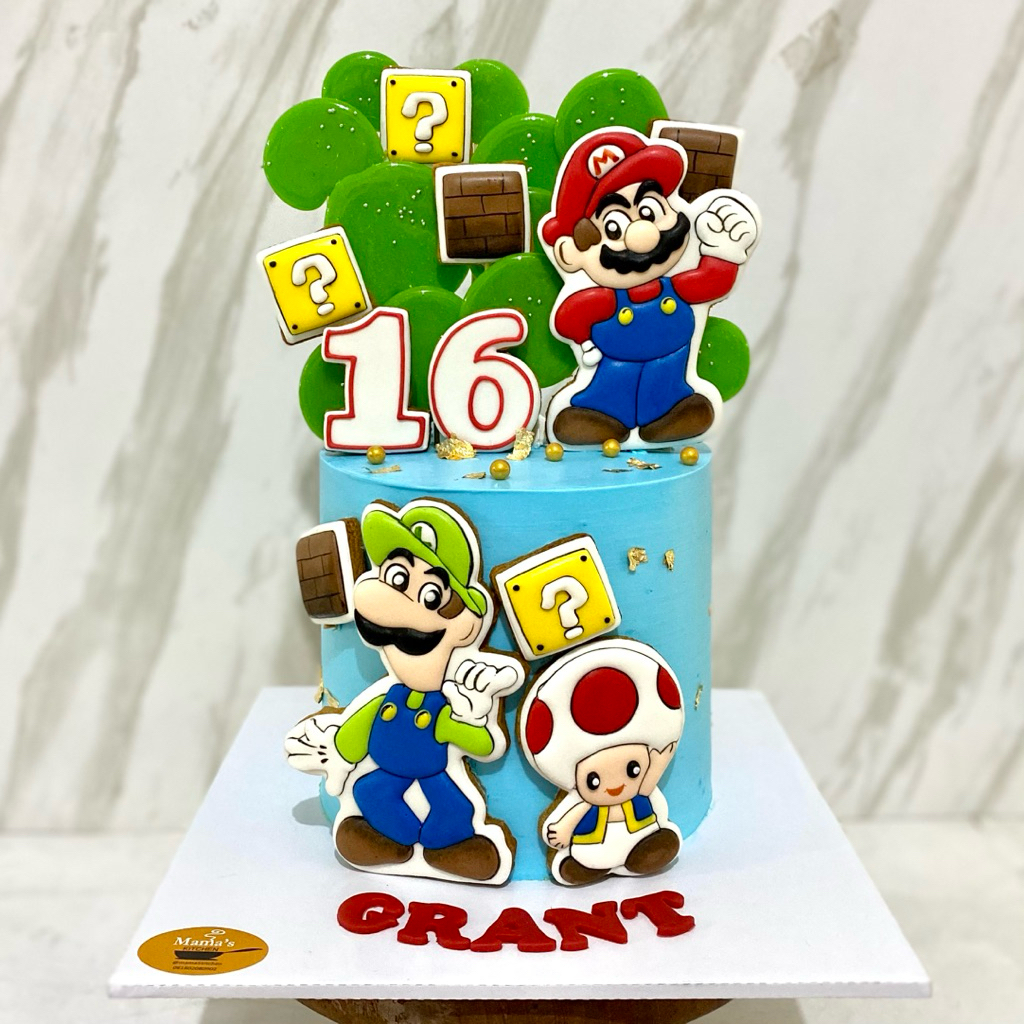 Mario Luigi Cake – Kue Ulang Tahun / Birthday Cake / Icing Cookies Karakter / Custom Hampers Ulang T