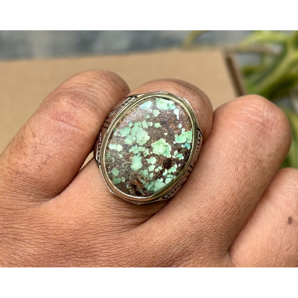 Pirus Persia Hijau Ceplok Dim Gede