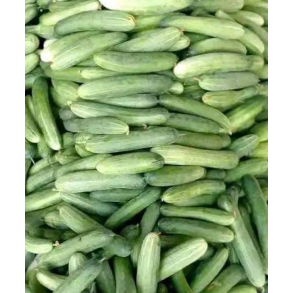 

Timun Lalap / Kecil Fresh - 500gram