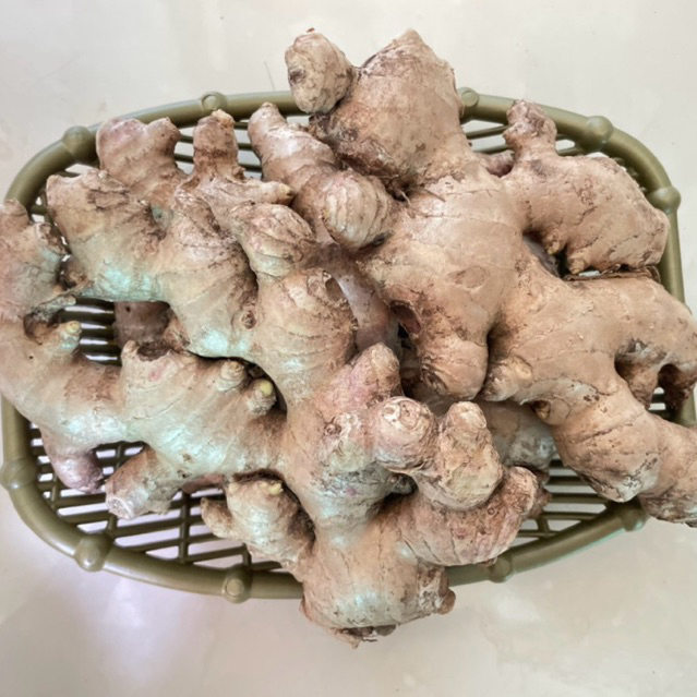 

JAHE GAJAH FRESH 1 KG-AROMA HARUM KHAS JAHE DAN RASA PEDAS HANGAT. UNTUK WEDANG JAHE AMU MASAKAN DAN MINUMAN.