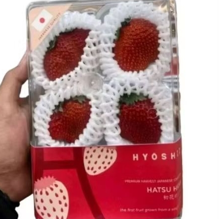 

Buah strawberry hiyoshi hatsu Hana strawberry quality 1pack