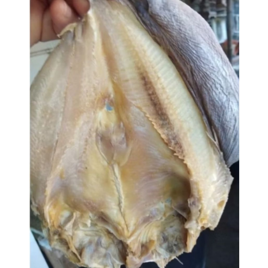 

ikan Asin Jambal Roti