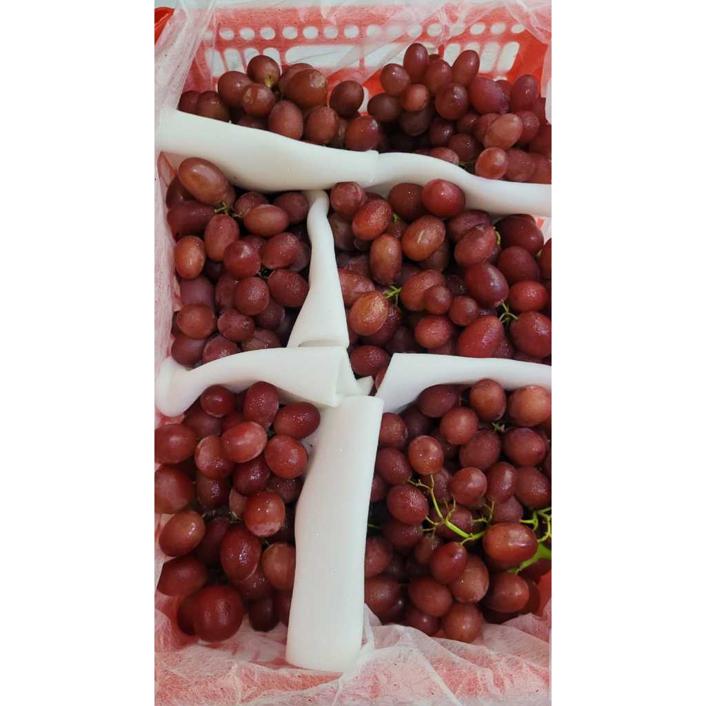 

Grape Anggur Red Rose tanpa biji Premium manis segar fresh 1 pak 500 gram