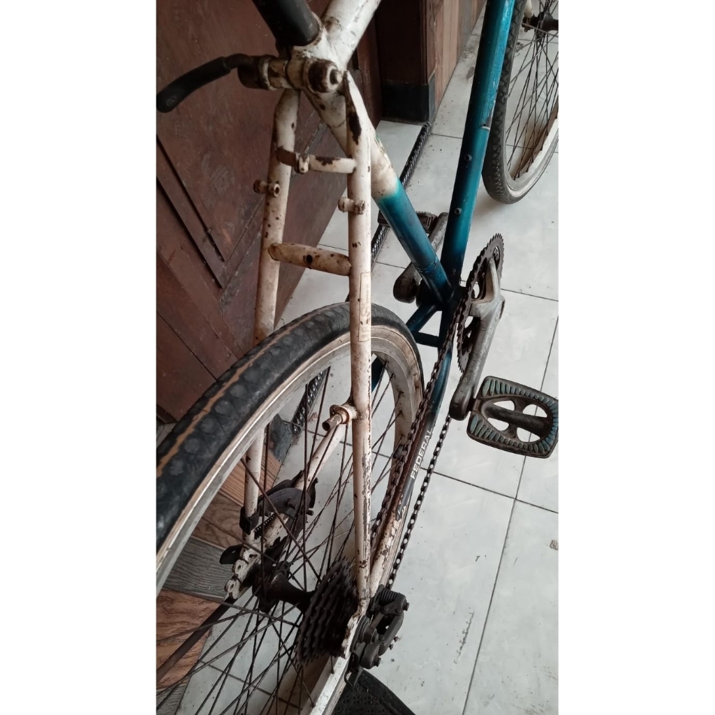 Sepeda Federal Street Cat Size Frame 19