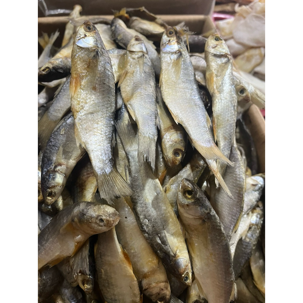 

ikan asin blanak klotong/bulat1 kg super