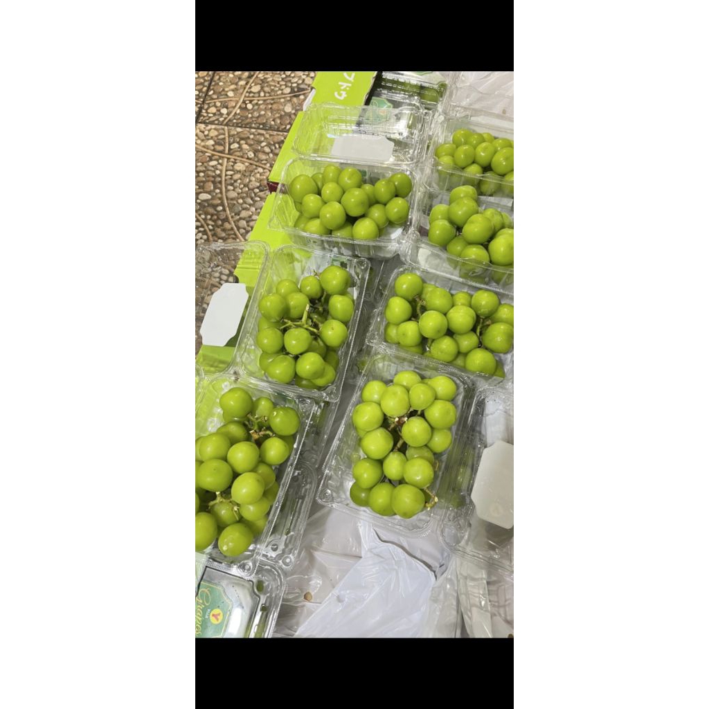 ANGGUR MUSCAT HIJAU 1 PACK 500 GRAM