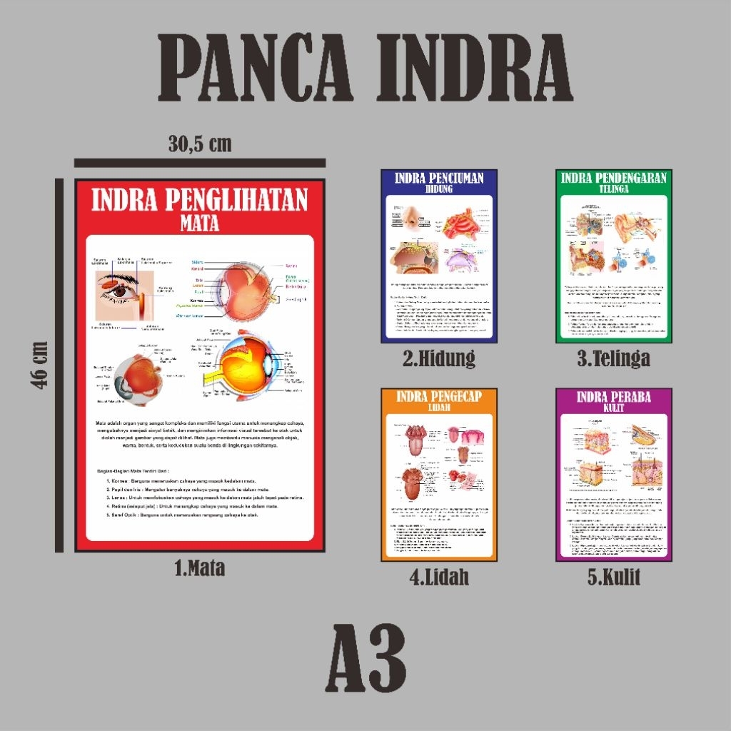 Poster Panca Indra (A3)