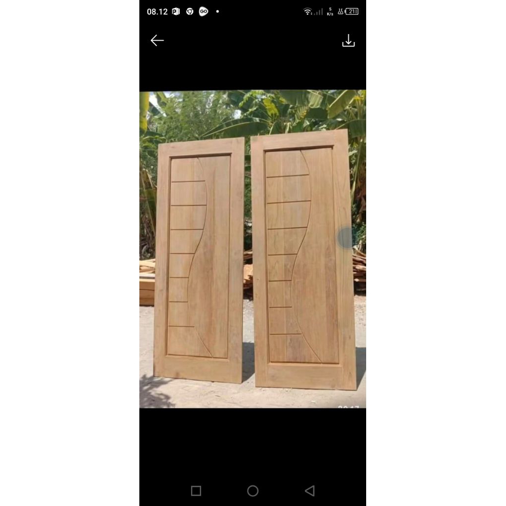 daun pintu jati tuaa/hutan