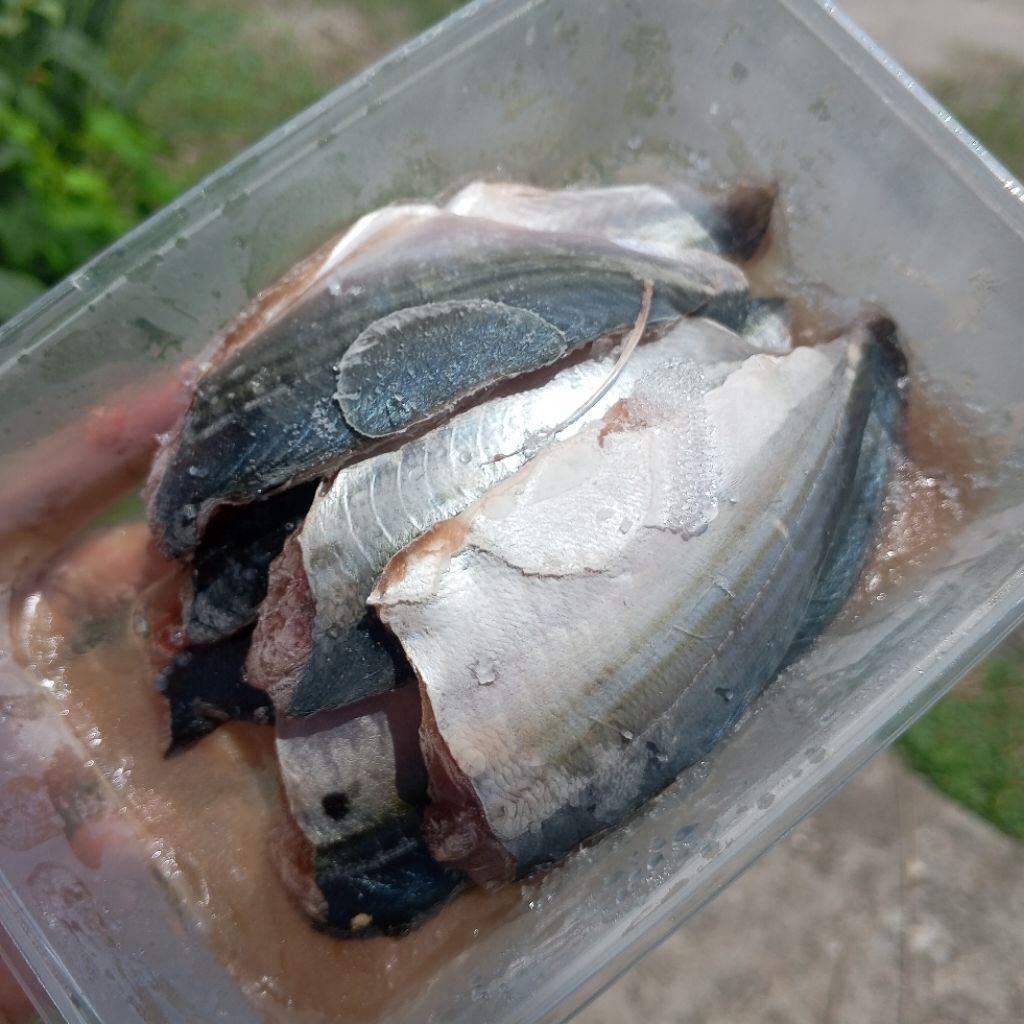 

Ikan Gembung Fillet MPASI - 250 gr | fresh di Medan praktis
