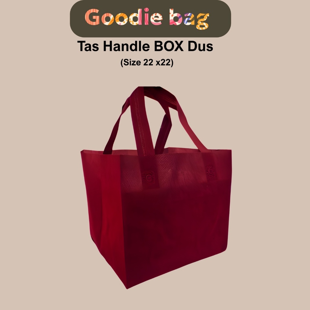 

Tas Goodie Bag Kotak 22x22 Semi Box Isi 12Pcs