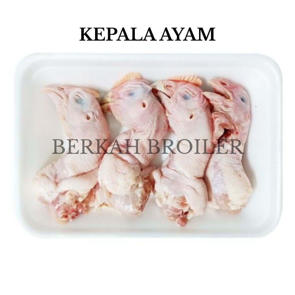 

KEPALA AYAM BROILER 1KG