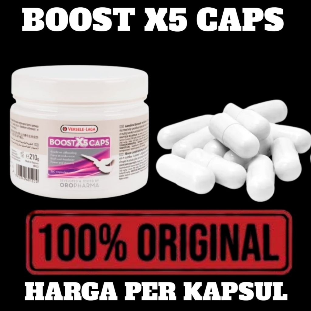Ideals Caps Versele Laga Boost X5 Capsul Vitamin kesehatan Merpati Aduan Kolong kuatkan otot tulang 