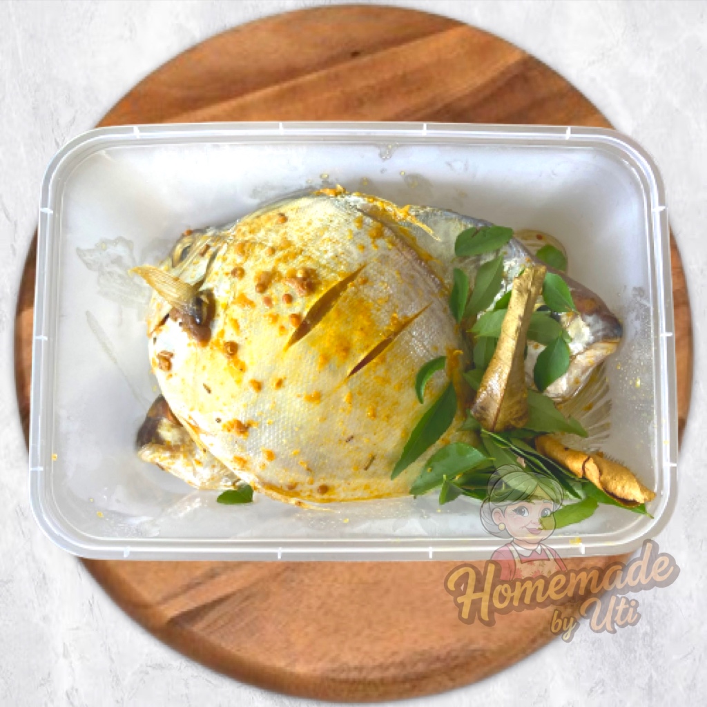 

KIRIM INSTANT Gabur / Kuwe Bumbu Ketumbar 3 ekor