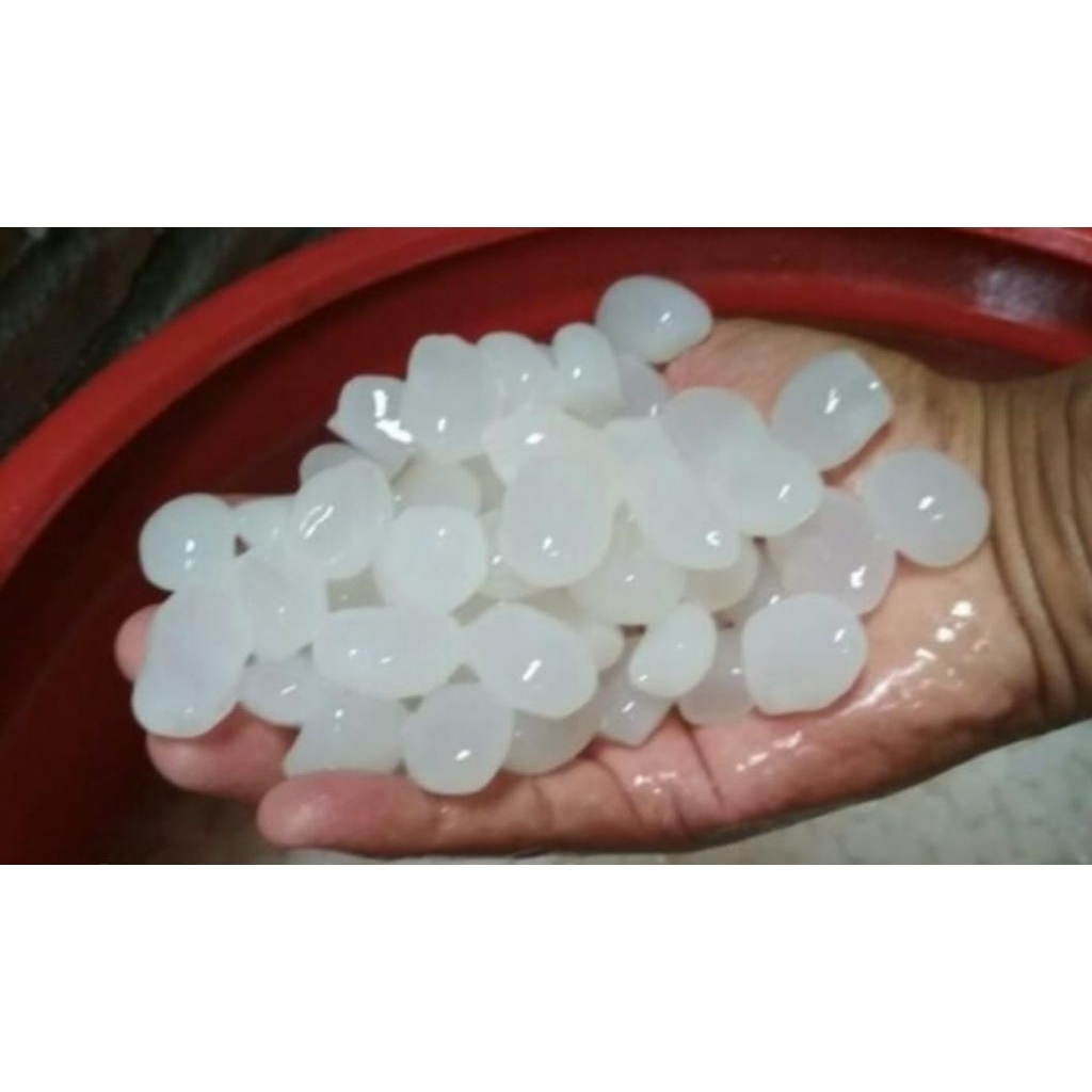 

buah kolang Kaling/aren1 kg