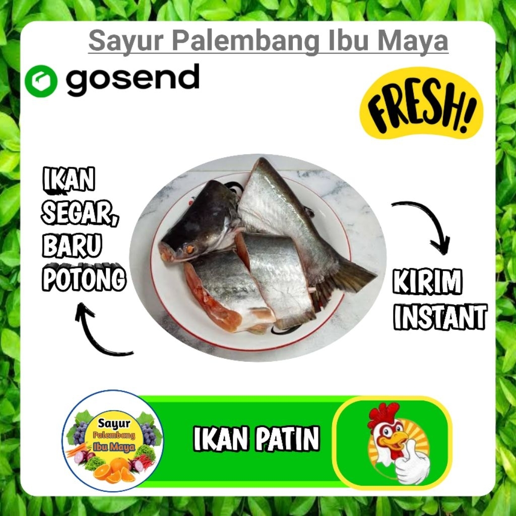 

Ikan Patin Segar - Fresh Kirim instan Palembang