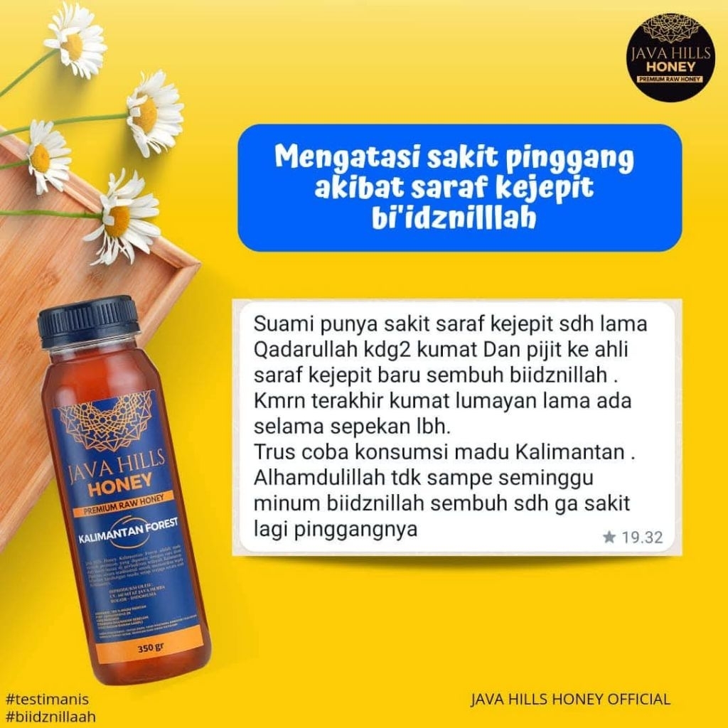 

madu hutan Kalimantan