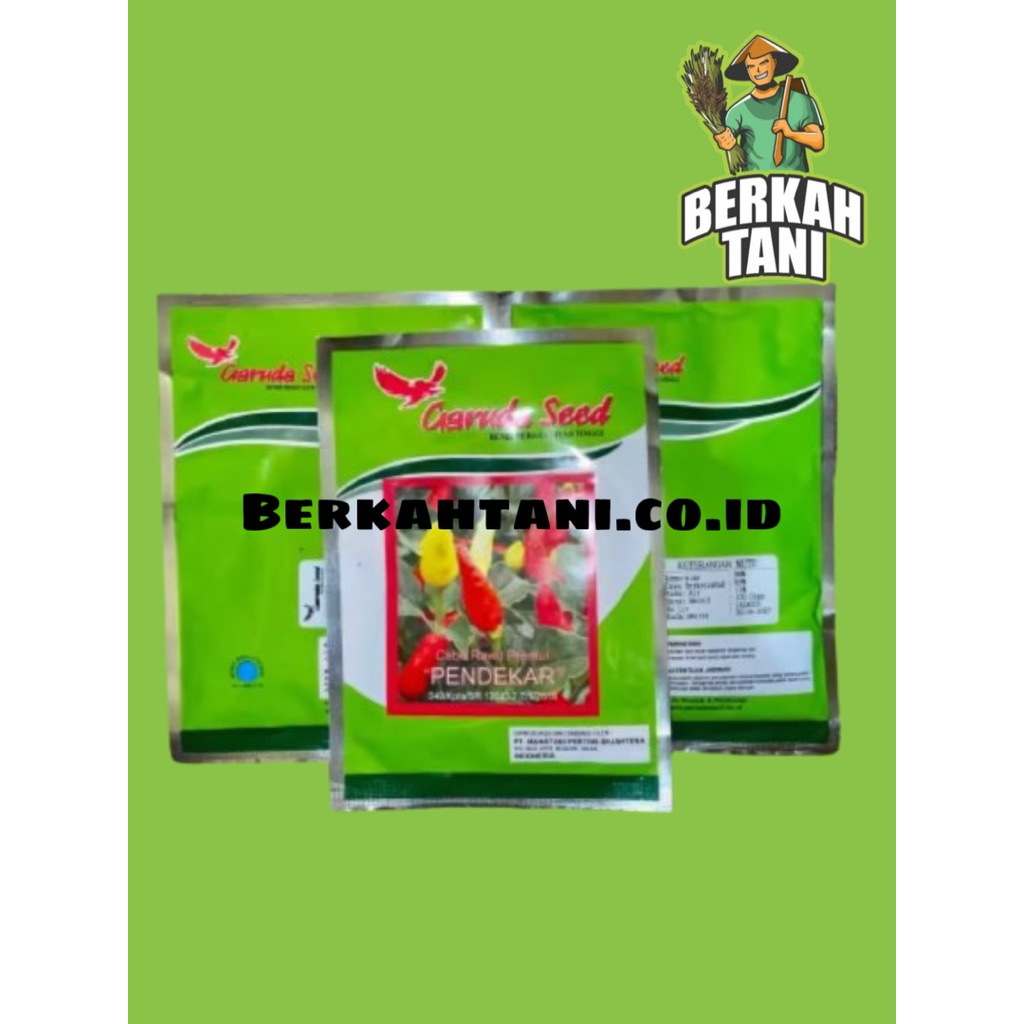 BENIH BIBIT CABE RAWIT PUTIH PRENTUL "PENDEKAR" 10 GRAM - GARUDA SEED (BISA COD)