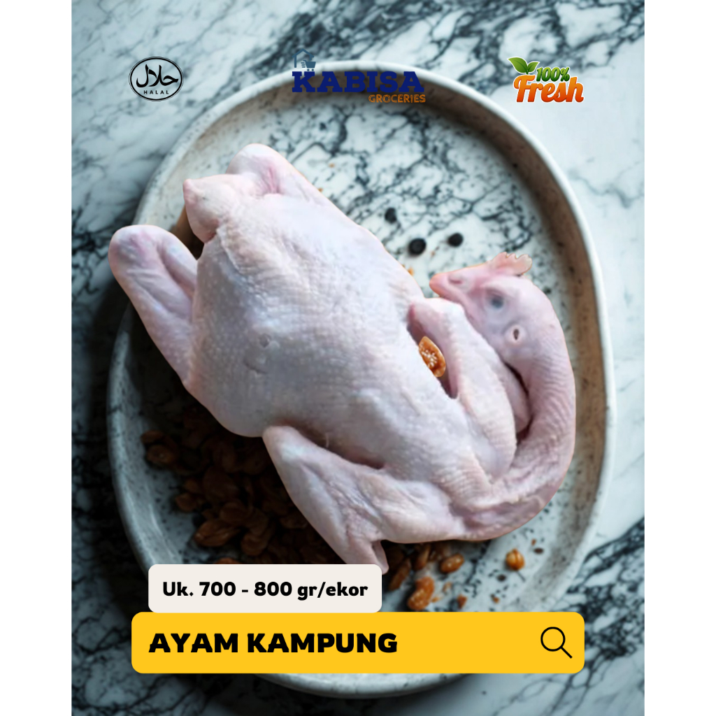 ayam kampung bandung segar fresh 1 ekor