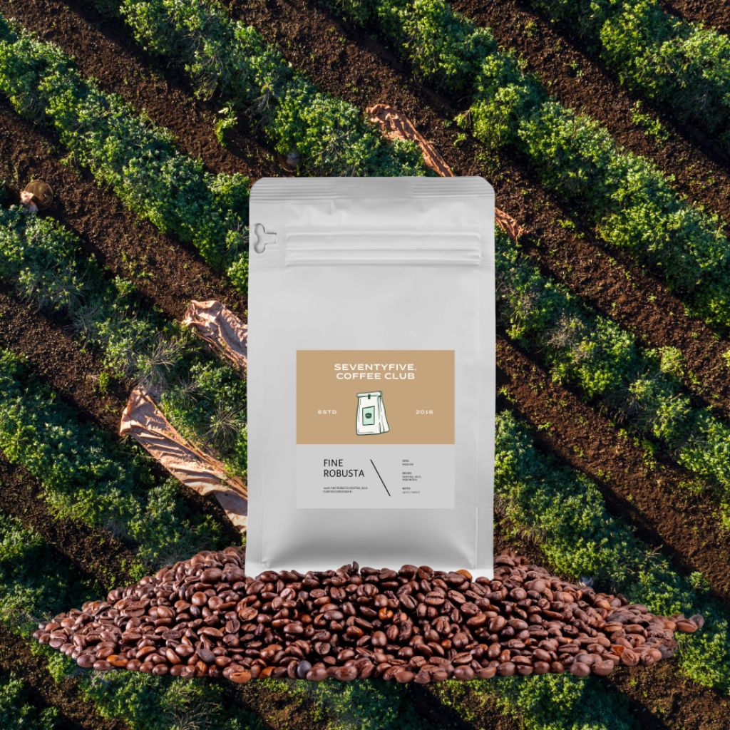 

BIJI KOPI BUBUK KOPI 100% FINE ROBUSTA WEST JAVA 1 KG Jawa Barat Fine Robusta Petik Merah