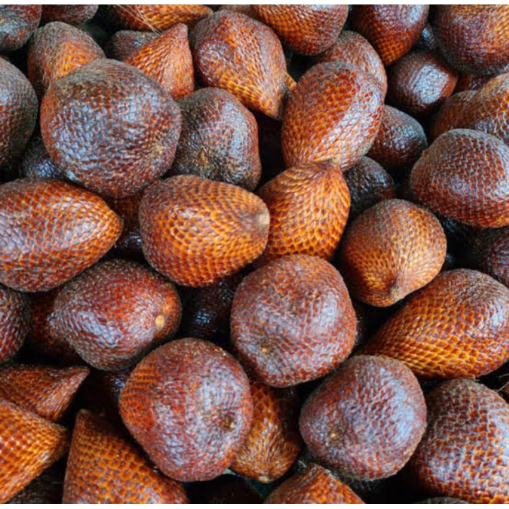 

salak pondoh besar sedang 1kg