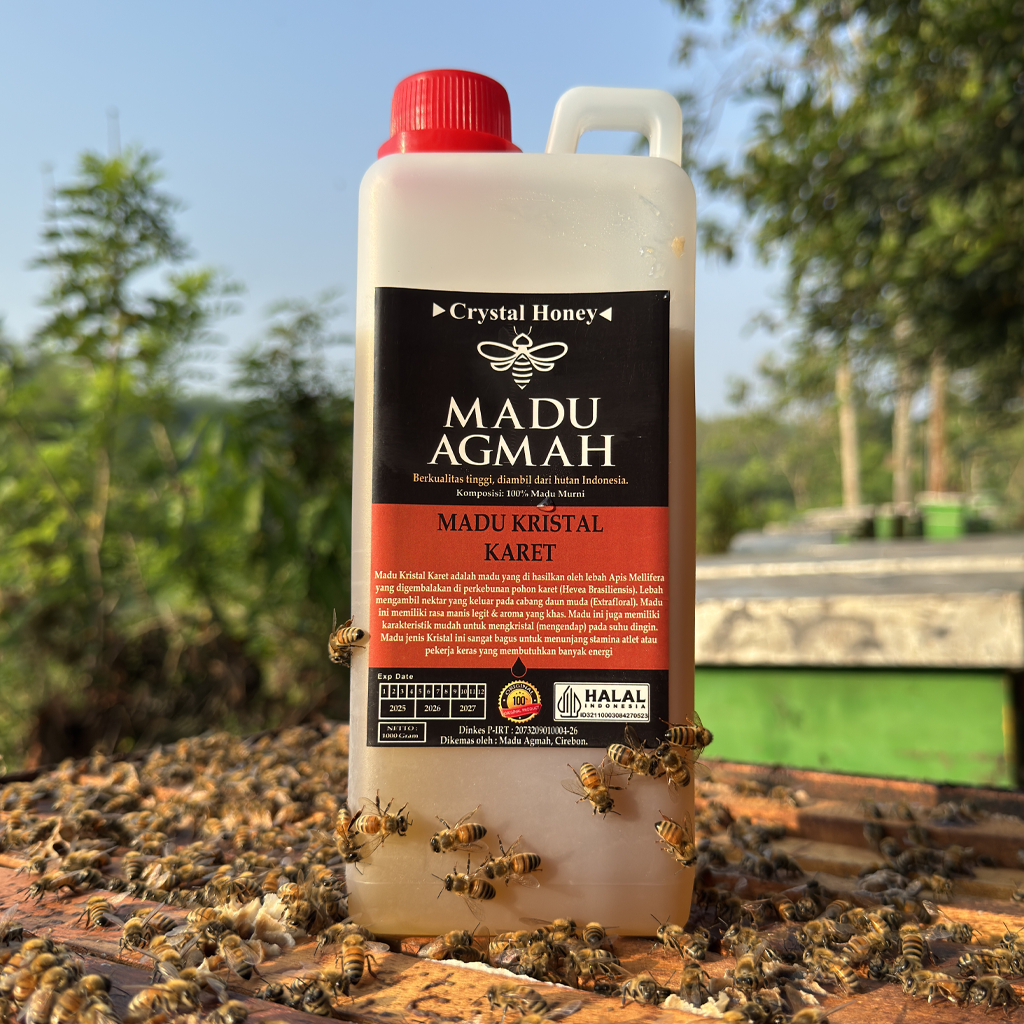 

Agmah Honey - Madu Anak Penambah Nafsu Makan Menaikan Berat - Nektar Karet
