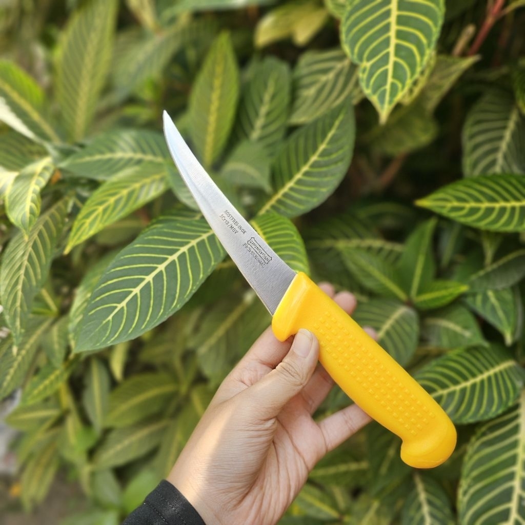 Pisau Zhongyuan Boning Lengkung Kuning
