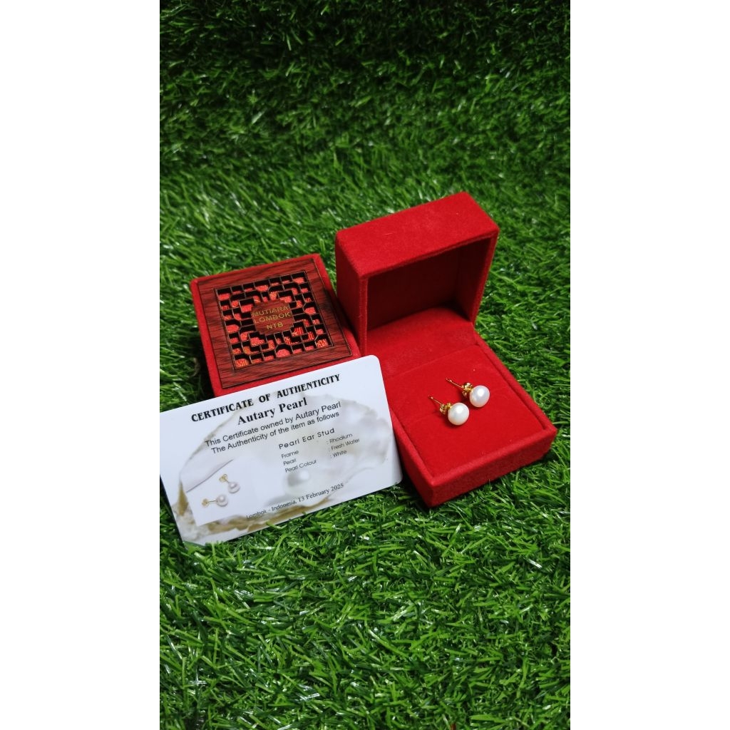 Mutiara lombok paradise , mutiara tawar asli dari lombok barat