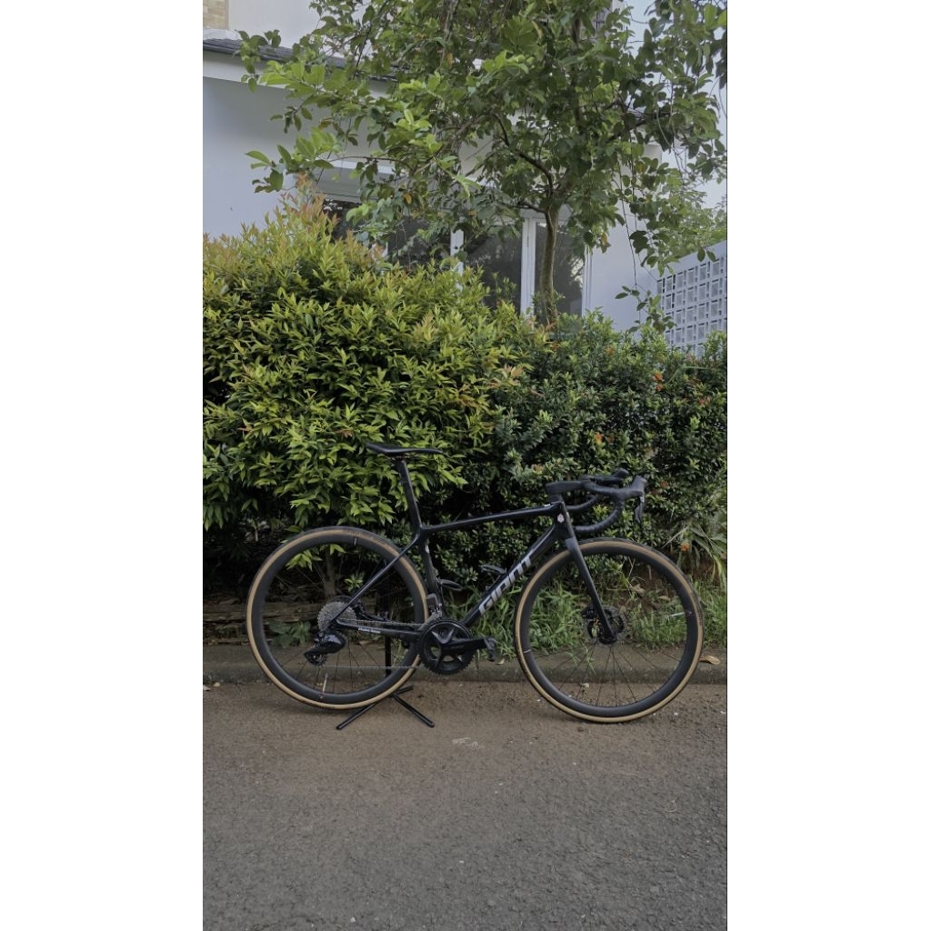 Frameset Giant TCR Advanced SL clean look Fork EXS