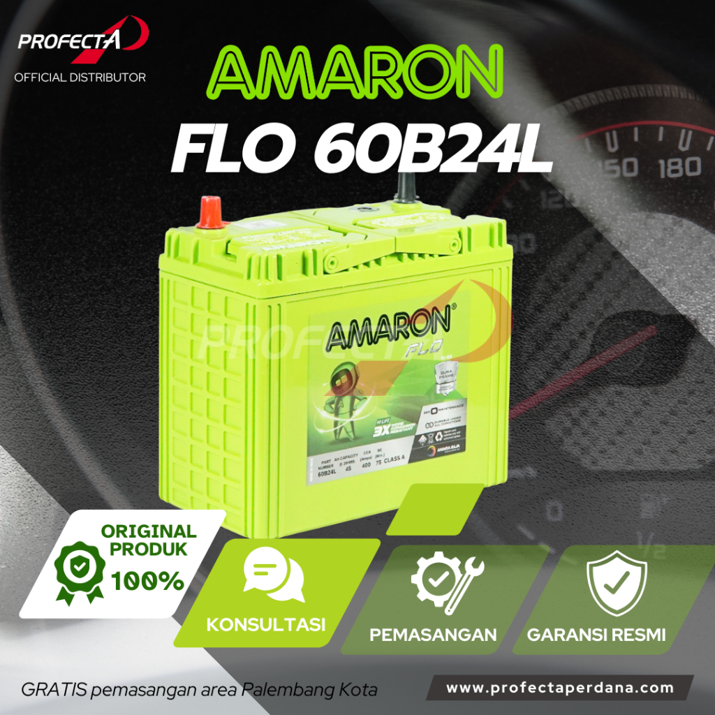 Aki Amaron Flo 60B24L