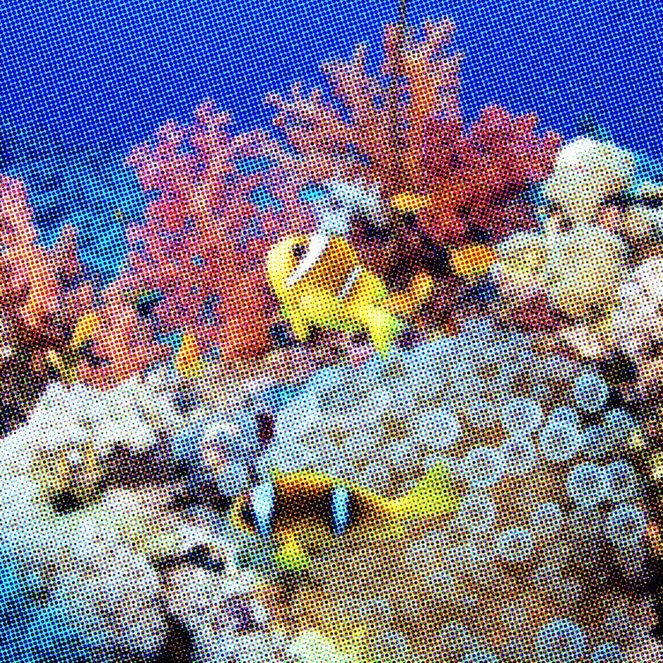 

Lameloen’s Special Order