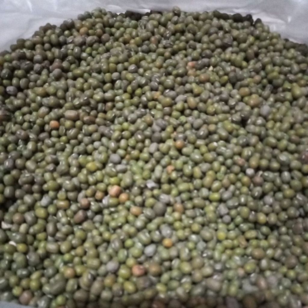 KACANG HIJAU MENTAH 1KG