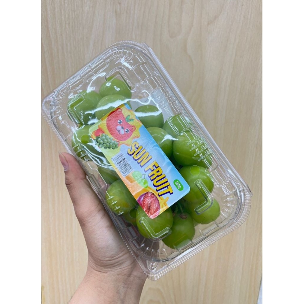 

ANGGUR SHINE MUSCAT 500GR