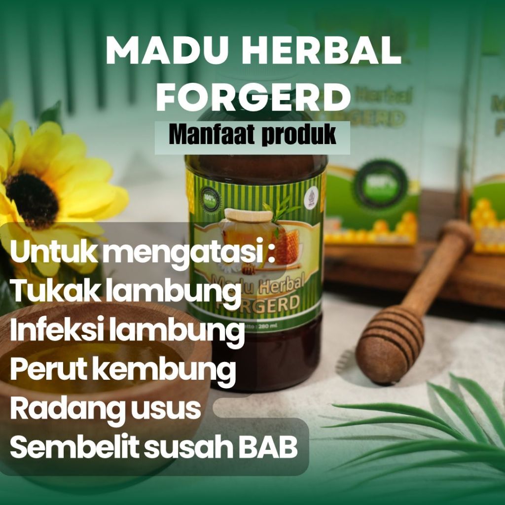 Forgerd Herbal Untuk Infeksi lambung Bahan Teripang Emas Temulawak Kunyit Madu Ternak Propolis