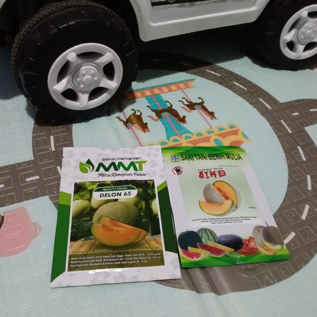 Benih Bibit Melon Aiko F1, Setipe Delon 65 F1 (Delon 65 F1 sudah off produksi/ karena satu produsen 