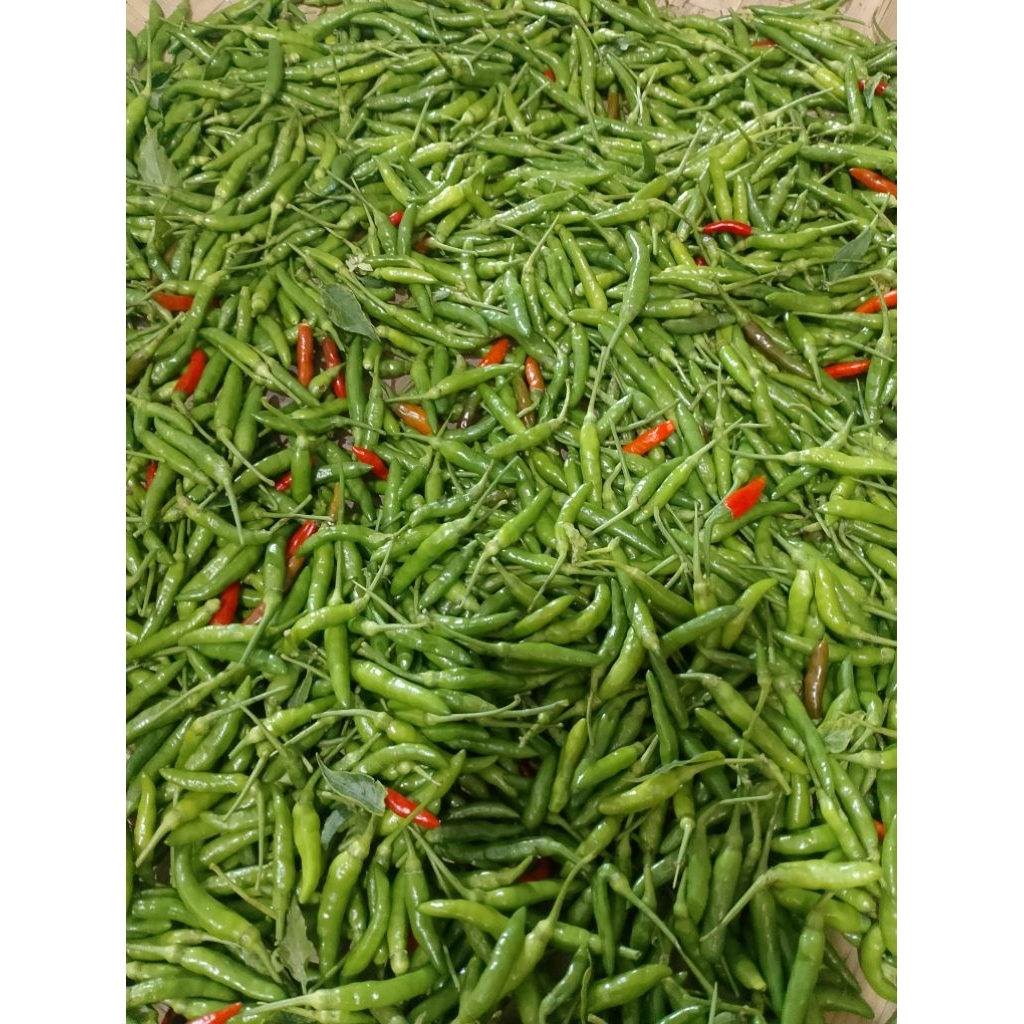 

cabe rawit hijau pedas segar kemasan vakum