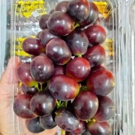 Buah anggur black Muscat manis segar 1kg