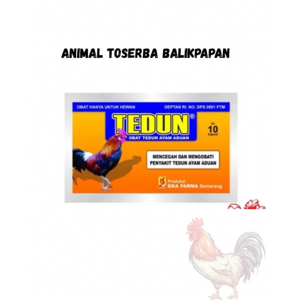 Tedun Obat Ayam aduan